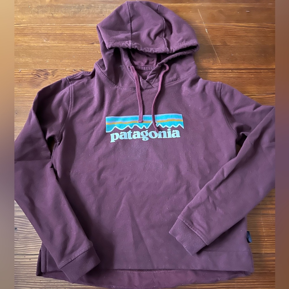 Patagonia sweatshirt hoodie size small regular fit